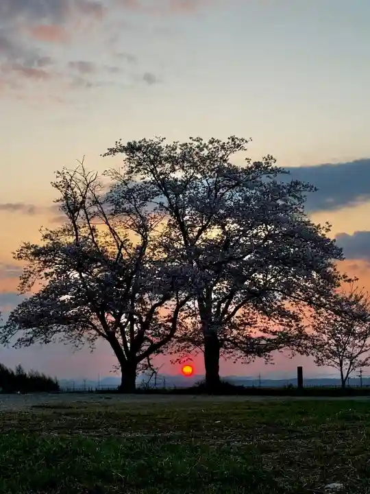 浄土寺(兵庫県)