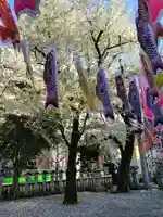 くまくま神社(導きの社 熊野町熊野神社)(東京都)