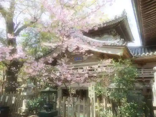 温泉山 安楽寺(四国霊場第六番札所)の自然