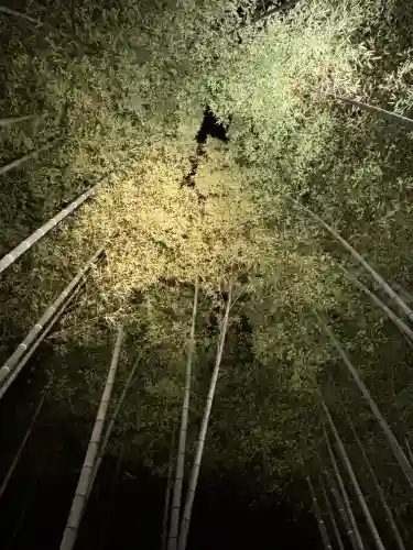 高台寺（高台寿聖禅寺・高臺寺）(京都府)