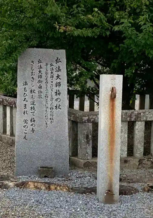 乙津寺 (鏡島弘法)のその他建物