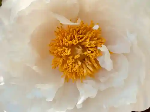 滑川神社 - 仕事と子どもの守り神の自然