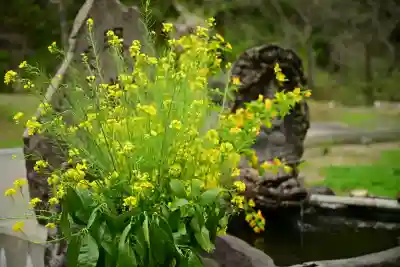 妙龍神社(新潟県)