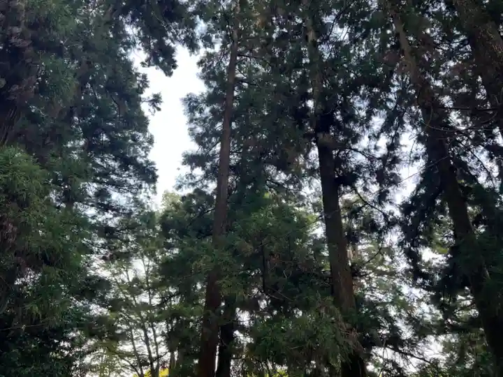 大宮温泉神社(栃木県)