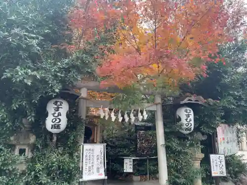 川越熊野神社の鳥居