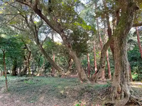 曽許乃御立神社の自然