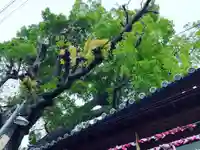 阿保神社(大阪府)