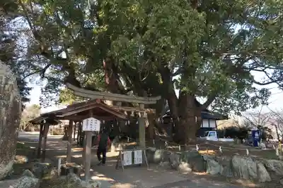 藤白神社(和歌山県)
