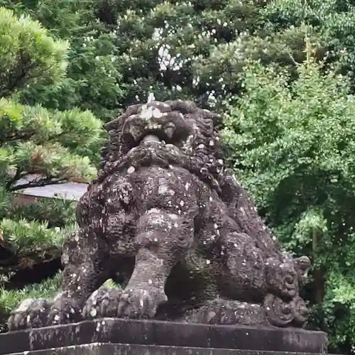 橘神社の狛犬