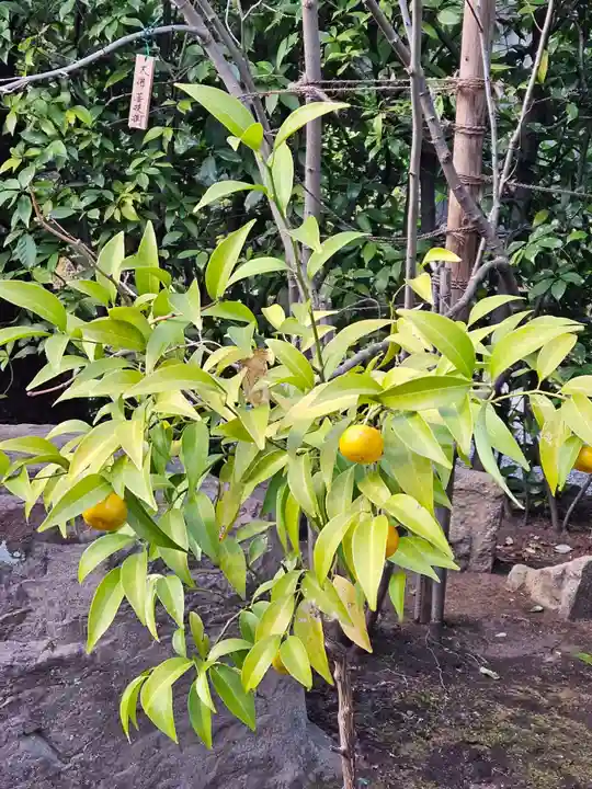 元興寺(奈良県)