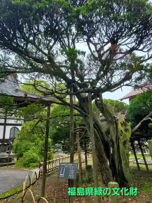 十念寺(福島県)
