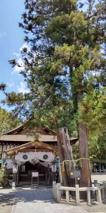 建部大社(滋賀県)