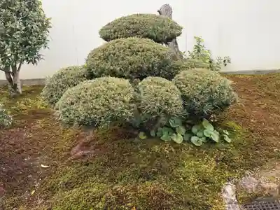 西方山極楽寺(岐阜県)