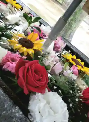 鳩森八幡神社の手水舎