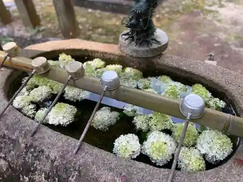 村屋坐弥冨都比売神社の手水舎