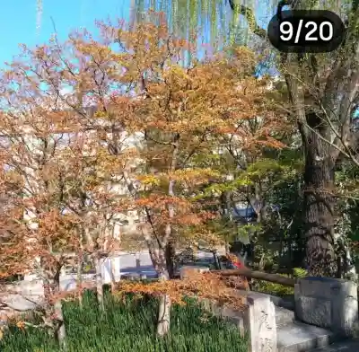 晴明神社の{uncategorized: "未分類", other: "その他", undefined: "問題あり", building: "その他建物", grave: "お墓", sacred_gate: "鳥居", guardian: "狛犬", statue: "像", buddha: "仏像", history: "歴史", nature: "自然", garden: "庭園", animal: "動物", pagoda: "塔", temizu: "手水舎", mountain_gate: "山門・神門", sanctuary: "本殿・本堂", subordinate: "末社・摂社", art: "芸術", scenery: "景色", jizo: "地蔵", ema: "絵馬", goshuin: "御朱印", omikuji: "おみくじ", items: "授与品その他", amulet: "お守り", goshuincho: "御朱印帳", eats: "食事", festival: "お祭り", votive_dance: "神楽", shichigosan: "七五三参", wedding: "結婚式", experience: "体験その他", initially: "初詣", around: "周辺", anti_infection: "感染症対策"}