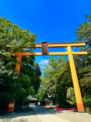 川越氷川神社(埼玉県)