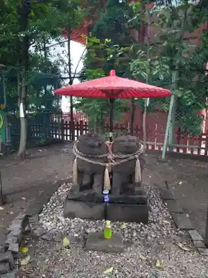 浅草神社の狛犬