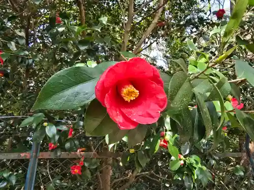 西宮神社(兵庫県)