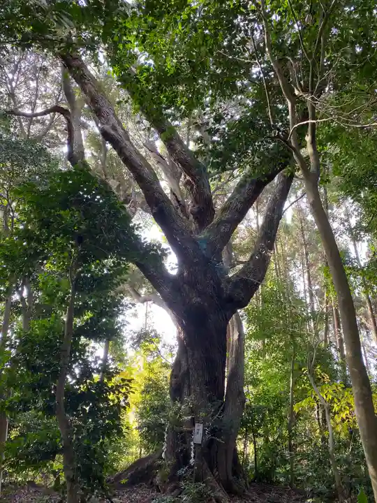 一之宮神社の自然
