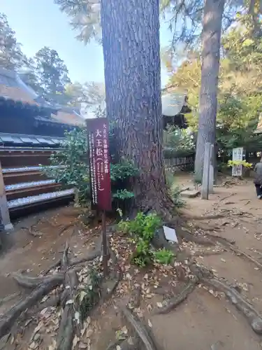 大宝八幡宮(茨城県)