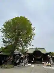 菊田神社の本殿