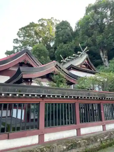 鹿児島神社(鹿児島県)