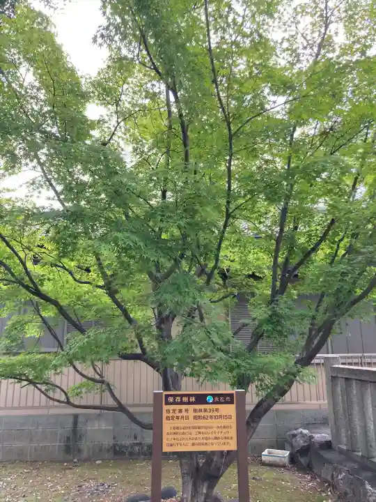春日神社の自然