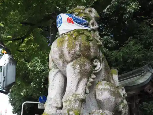 秩父神社の狛犬