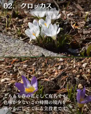 宝光寺(北海道)