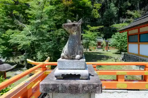 大原野神社の狛犬