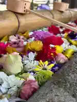 群馬県護国神社(群馬県)