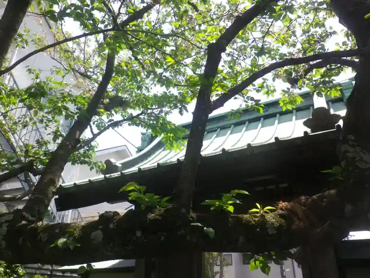 教恩寺の本殿・本堂