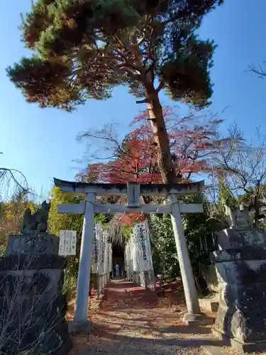 開成山大神宮の鳥居