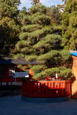 香椎宮(福岡県)