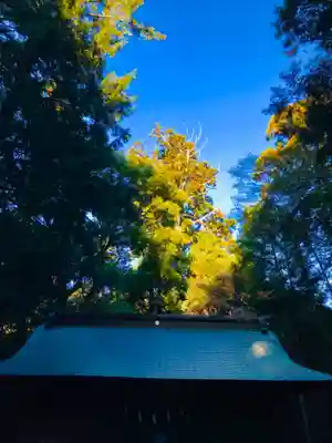 阿弥神社のその他建物