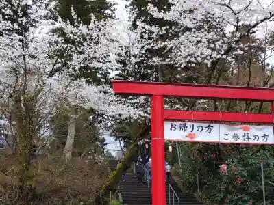 蒼柴神社の{uncategorized: "未分類", other: "その他", undefined: "問題あり", building: "その他建物", grave: "お墓", sacred_gate: "鳥居", guardian: "狛犬", statue: "像", buddha: "仏像", history: "歴史", nature: "自然", garden: "庭園", animal: "動物", pagoda: "塔", temizu: "手水舎", mountain_gate: "山門・神門", sanctuary: "本殿・本堂", subordinate: "末社・摂社", art: "芸術", scenery: "景色", jizo: "地蔵", ema: "絵馬", goshuin: "御朱印", omikuji: "おみくじ", items: "授与品その他", amulet: "お守り", goshuincho: "御朱印帳", eats: "食事", festival: "お祭り", votive_dance: "神楽", shichigosan: "七五三参", wedding: "結婚式", experience: "体験その他", initially: "初詣", around: "周辺", anti_infection: "感染症対策"}