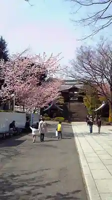 護国寺のその他建物