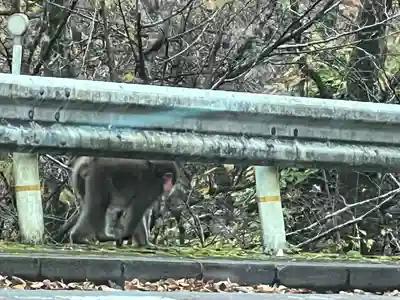 九頭龍神社(東京都)