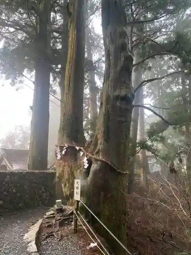 玉置神社の{uncategorized: "未分類", other: "その他", undefined: "問題あり", building: "その他建物", grave: "お墓", sacred_gate: "鳥居", guardian: "狛犬", statue: "像", buddha: "仏像", history: "歴史", nature: "自然", garden: "庭園", animal: "動物", pagoda: "塔", temizu: "手水舎", mountain_gate: "山門・神門", sanctuary: "本殿・本堂", subordinate: "末社・摂社", art: "芸術", scenery: "景色", jizo: "地蔵", ema: "絵馬", goshuin: "御朱印", omikuji: "おみくじ", items: "授与品その他", amulet: "お守り", goshuincho: "御朱印帳", eats: "食事", festival: "お祭り", votive_dance: "神楽", shichigosan: "七五三参", wedding: "結婚式", experience: "体験その他", initially: "初詣", around: "周辺", anti_infection: "感染症対策"}