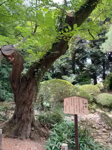 岩槻久伊豆神社(埼玉県)