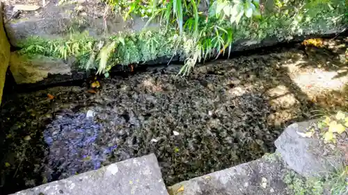 今市瀧尾神社(栃木県)
