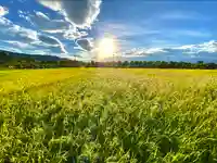 菱野健功神社の景色