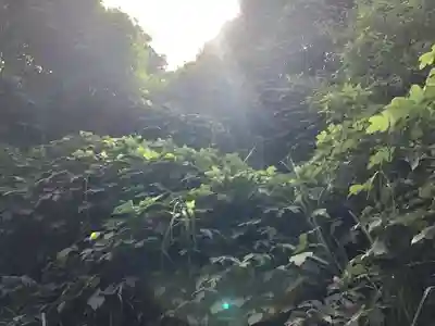 御嶽龍王権現社の周辺