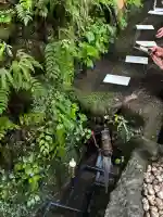 貴船神社の{uncategorized: "未分類", other: "その他", undefined: "問題あり", building: "その他建物", grave: "お墓", sacred_gate: "鳥居", guardian: "狛犬", statue: "像", buddha: "仏像", history: "歴史", nature: "自然", garden: "庭園", animal: "動物", pagoda: "塔", temizu: "手水舎", mountain_gate: "山門・神門", sanctuary: "本殿・本堂", subordinate: "末社・摂社", art: "芸術", scenery: "景色", jizo: "地蔵", ema: "絵馬", goshuin: "御朱印", omikuji: "おみくじ", items: "授与品その他", amulet: "お守り", goshuincho: "御朱印帳", eats: "食事", festival: "お祭り", votive_dance: "神楽", shichigosan: "七五三参", wedding: "結婚式", experience: "体験その他", initially: "初詣", around: "周辺", anti_infection: "感染症対策"}