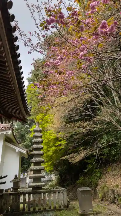 宝積寺(京都府)