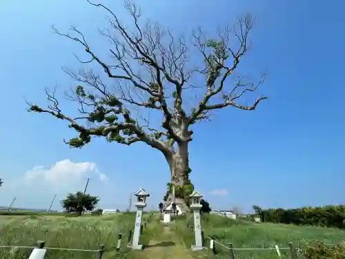 大木神社跡地(三重県)