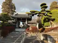 朝光寺の{uncategorized: "未分類", other: "その他", undefined: "問題あり", building: "その他建物", grave: "お墓", sacred_gate: "鳥居", guardian: "狛犬", statue: "像", buddha: "仏像", history: "歴史", nature: "自然", garden: "庭園", animal: "動物", pagoda: "塔", temizu: "手水舎", mountain_gate: "山門・神門", sanctuary: "本殿・本堂", subordinate: "末社・摂社", art: "芸術", scenery: "景色", jizo: "地蔵", ema: "絵馬", goshuin: "御朱印", omikuji: "おみくじ", items: "授与品その他", amulet: "お守り", goshuincho: "御朱印帳", eats: "食事", festival: "お祭り", votive_dance: "神楽", shichigosan: "七五三参", wedding: "結婚式", experience: "体験その他", initially: "初詣", around: "周辺", anti_infection: "感染症対策"}