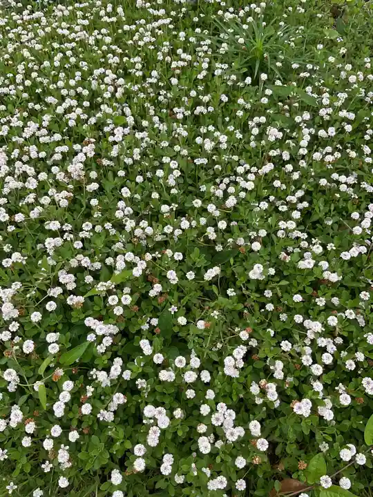 龍渕寺(愛知県)