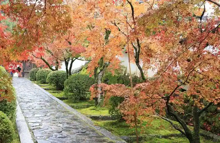 酬恩庵一休寺(京都府)